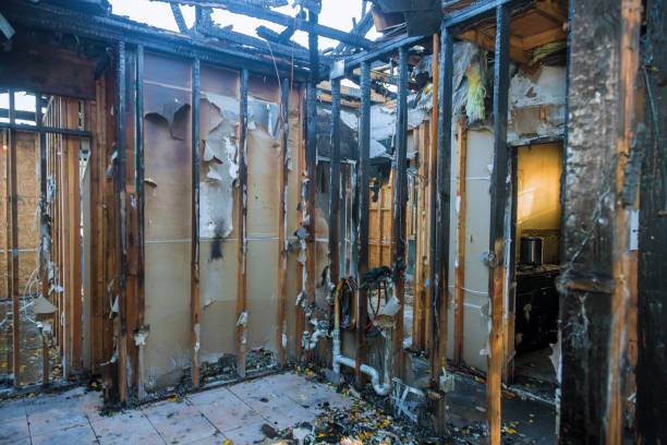 Professional Fire Damage Assessment technician working in Town 'n' Country, FL